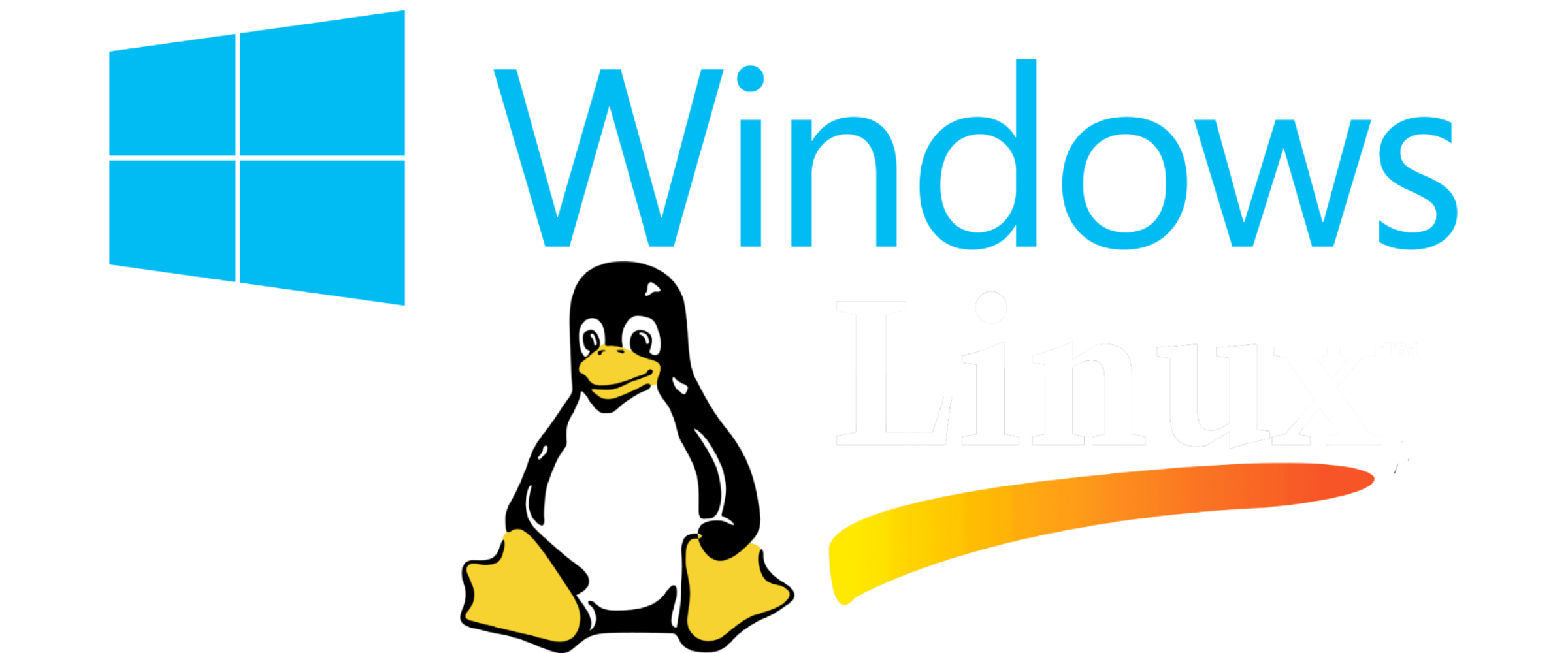Vulkan Renderer Support